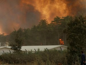 Bolu'da Orman Yangını