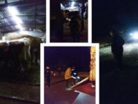 Hayvan taşıma araçları durdurularak denetimler yapıldı