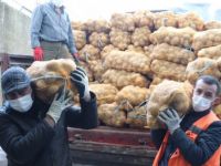 Belediye 30 ton patates dağıtıyor