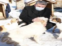 ‘Yemekleri Çöplere Atmayın, Sokak Hayvanlarına Bırakın’