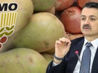 Patates ve Kuru Soğan Dağıtılacak