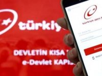 “Doğum Bildirimi Başvurusu” e-Devlet üzerinden yapılabilecek