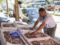 Türkiye'de Balık Tüketimi Dünyanın Gerisinde