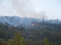 Zonguldak'ta Orman Yangını