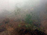 Zonguldak'ta Toprak Kayması