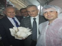 Vali Dirim, genç çiftçilere önemli çağrıda bulundu
