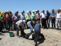 ‘Seçilmeden yola koyuldular’