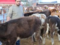 Kalaycı, tarımsal desteklemelerle ilgili açıklama yaptı