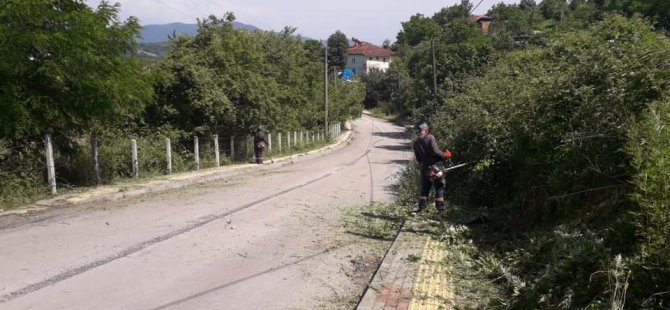 Yabani ot temizliği çalışmaları Çaydüzü’nde devam etti