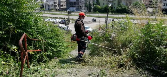 Ot temizleme çalışması Aladağ Mahallesi’nde devam etti