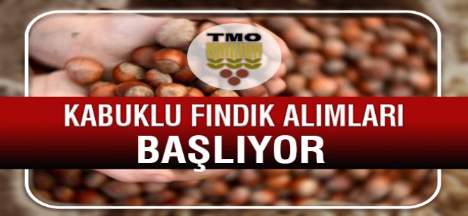 Bartın'da kabuklu fındık alımı 31 Ağustos’ta başlıyor