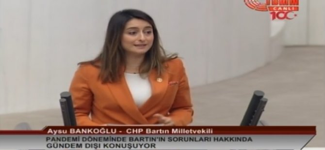 Bankoğlu, Mecliste Bartın'ın Sorunlarını Anlattı