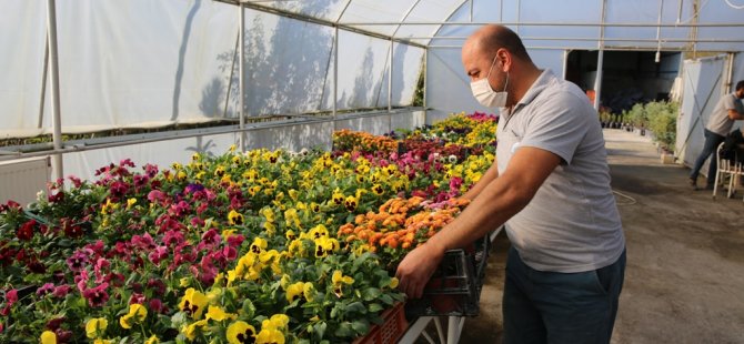 Bartın Belediyesi Bir Yılda 119 Bin Bitki Üretti