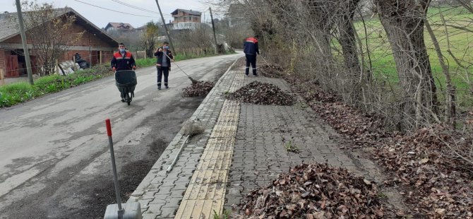 Belediye Ekiplerinden Yaprak Temizleme Mesaisi