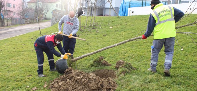 “13 ağacı daha toprakla buluşturduk”