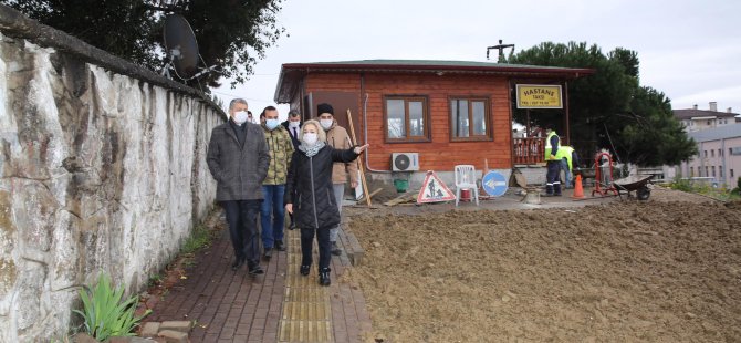 Düzenleme Öncesi İnceleme