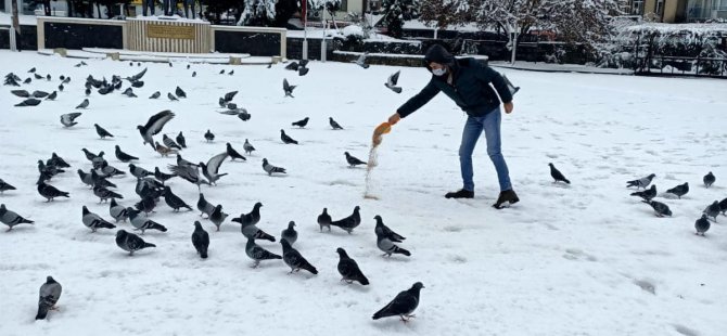 Belediye, Karda Sokak Hayvanlarını Unutmadı