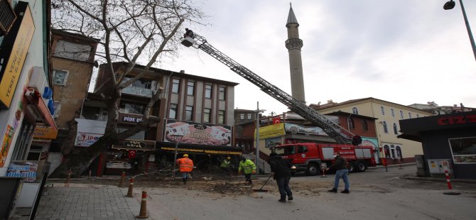 Zarar Gören Ağaç Dallarına Müdahale Ediliyor