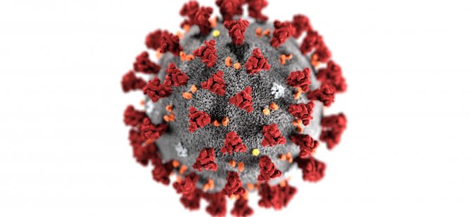 Hastalara mutasyona uğramış virüsün nereden bulaştığı araştırılıyor