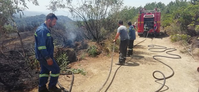 Bir Orman Yangını Haberi de Bölgemizden Geldi