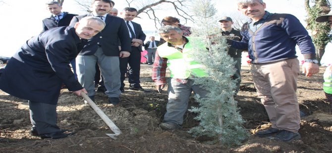 7 bin 550 adet fidan toprakla buluştu