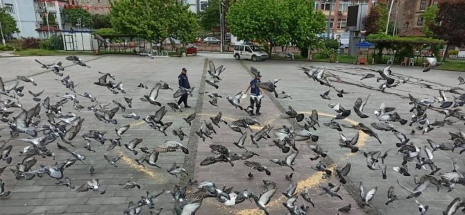 “Zorlu Kış Koşullarında Onları Unutmayalım”