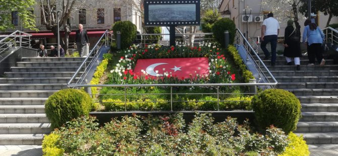 Baharın Müjdecisi Laleler Çiçek Açtı