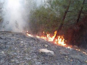 Karabük’te ki yangına Bartın’dan ekip sevk edildi