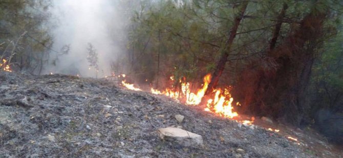 Karabük’te ki yangına Bartın’dan ekip sevk edildi