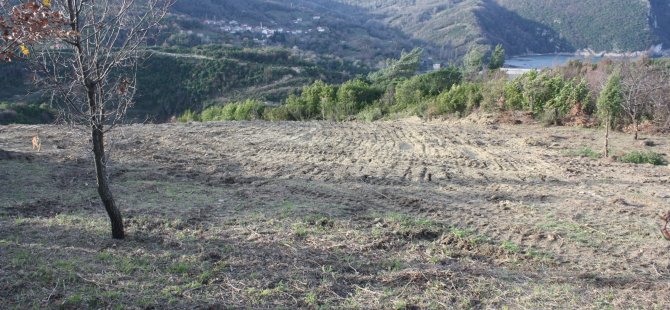 ‘Göz yuman sorumlular hesap vermeli’