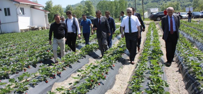 Vali Dirim, genç çiftçileri üretici olmaya davet etti