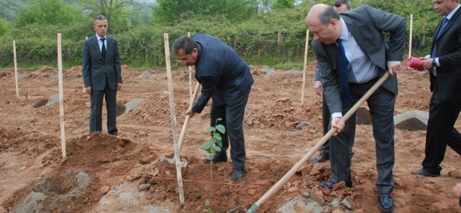 Kanser savaşçısı bitki artık Bartın’da da üretiliyor