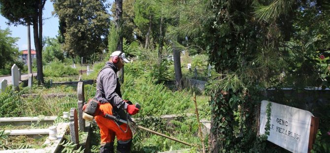 Yabani ot temizliği yapıldı