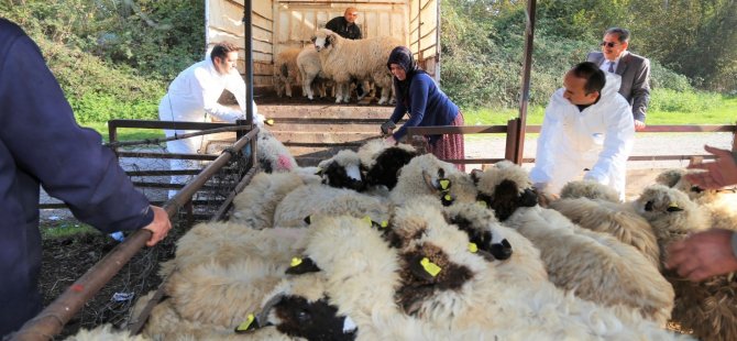 Kalaycı, tarımsal desteklemelerle ilgili açıklama yaptı