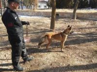 2 adet Bomba Arama ve İz Sürme Köpeği alındı