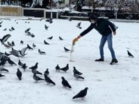 Belediye, Karda Sokak Hayvanlarını Unutmadı