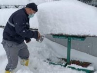 “Zorlu Kış Koşullarında Sokak Hayvanlarını Unutmayalım”