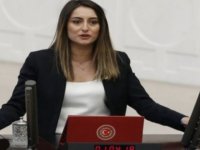 Milletvekili Bankoğlu, projeye tepki gösterdi