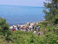 Amasra'da santral araştırması