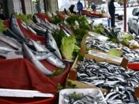 Balıkçılar, Hamsinin Ucuzlaması İçin Kar Yağmasını Bekliyor