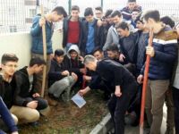 Öğrenciler Okul Bahçesine Zeytin Fidanı Dikti