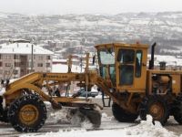 Bartın Belediyesi önlem aldı